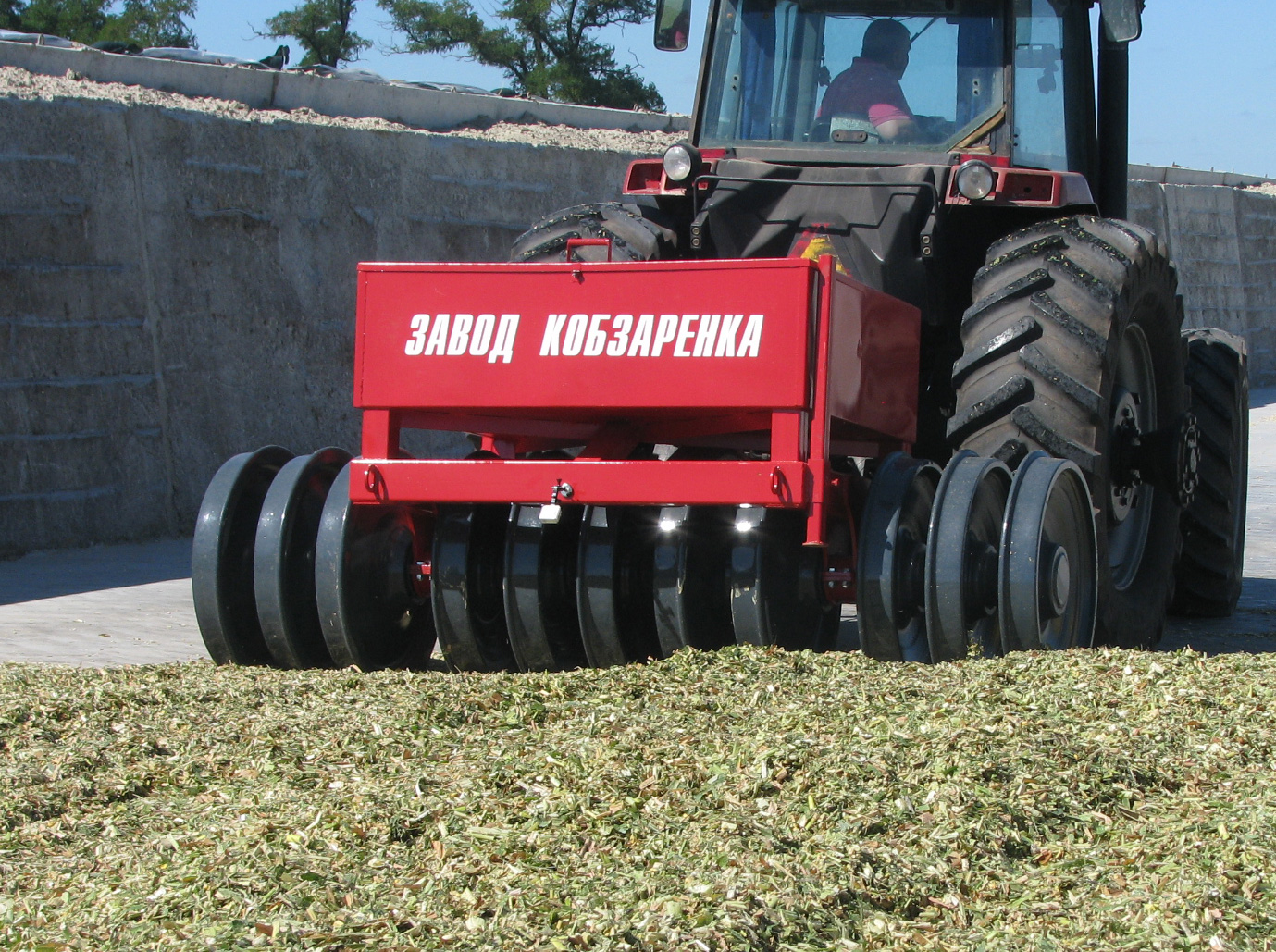 slon-kobzarenko-4