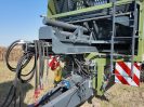 TZP-39-17